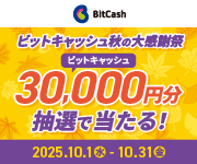 ビットキャッシュでお支払いいただけます