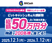 ビットキャッシュ